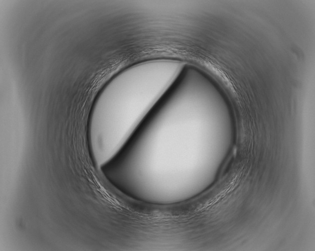 X0000115740481200911121105