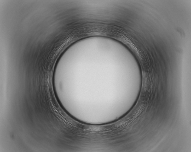 X0000115740482200911121105