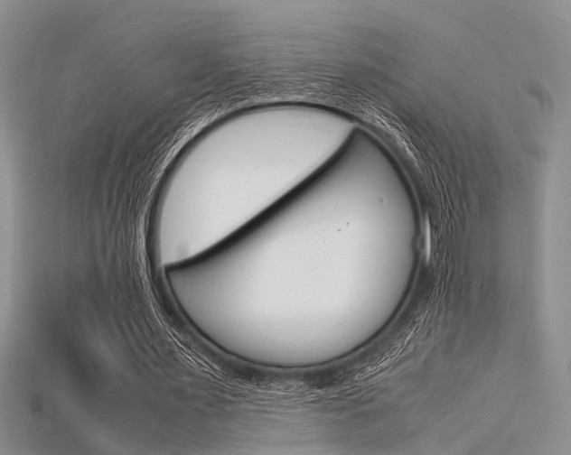 X0000115740483200911121105