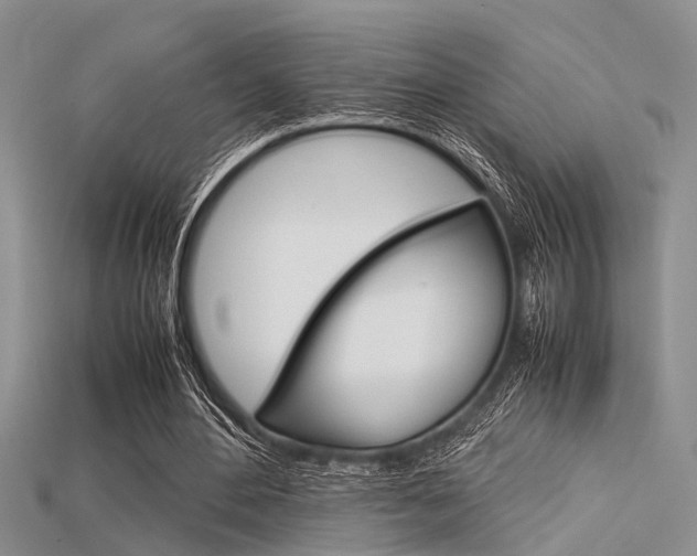 X0000115740484200911121105