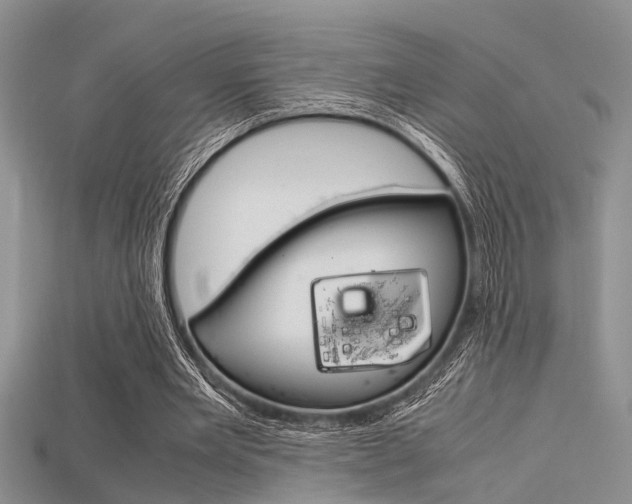 X0000115740485200911121105