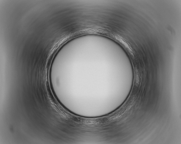 X0000115740486200911121105