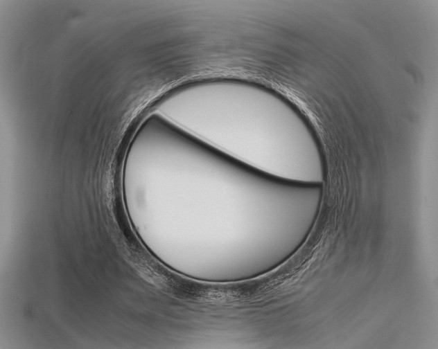 X0000115740487200911121105