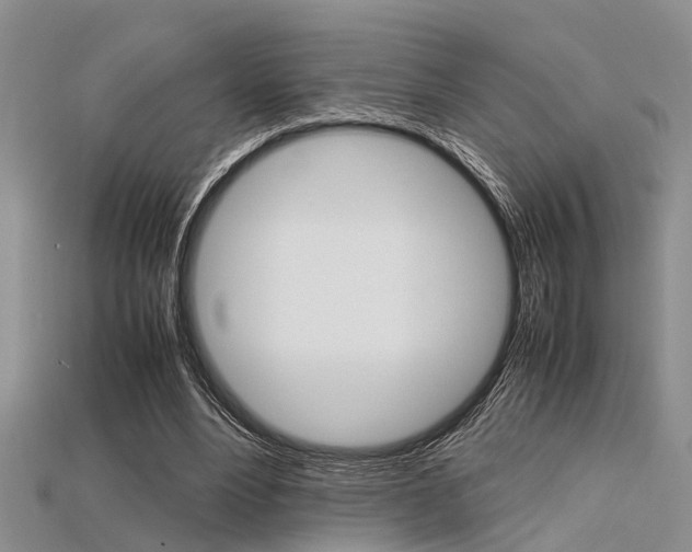X0000115740488200911121105