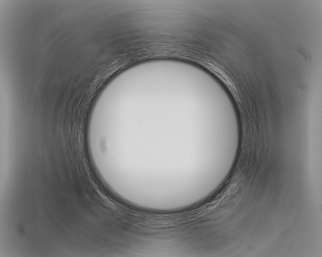 X0000115740489200911121105