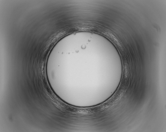 X0000115740490200911121105