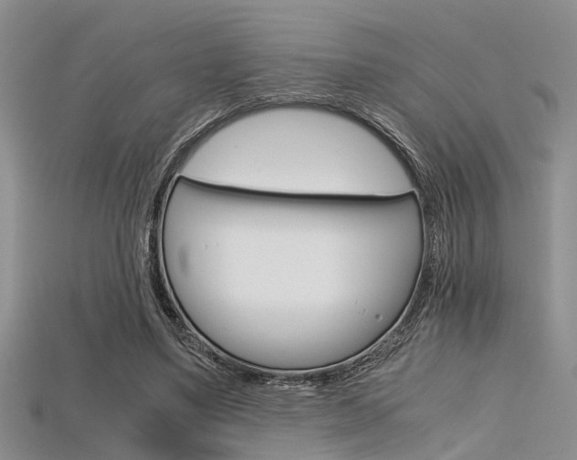 X0000115740491200911121105