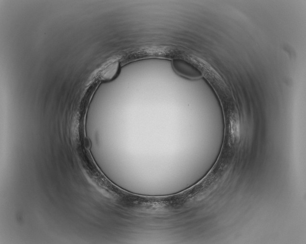 X0000115740492200911121105
