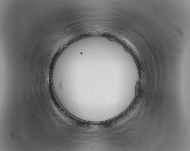 X0000115740493200911121105