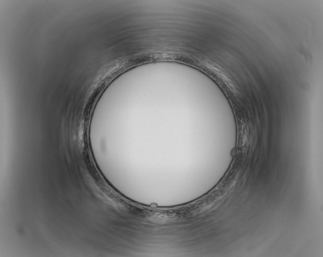 X0000115740494200911121105