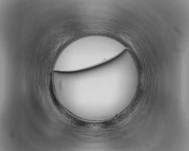 X0000115740495200911121105