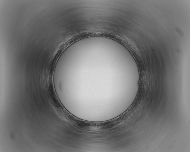 X0000115740496200911121105