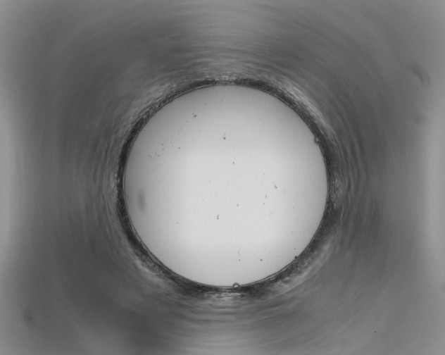 X0000115740497200911121105