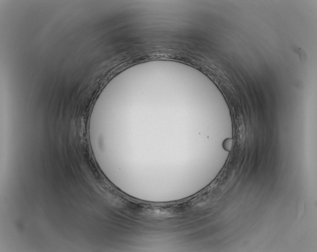 X0000115740498200911121105