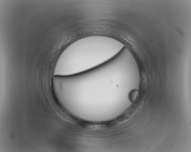 X0000115740499200911121105