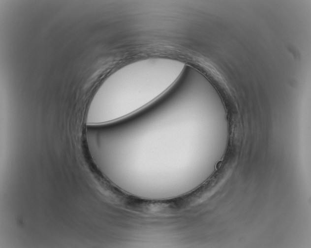 X0000115740501200911121105