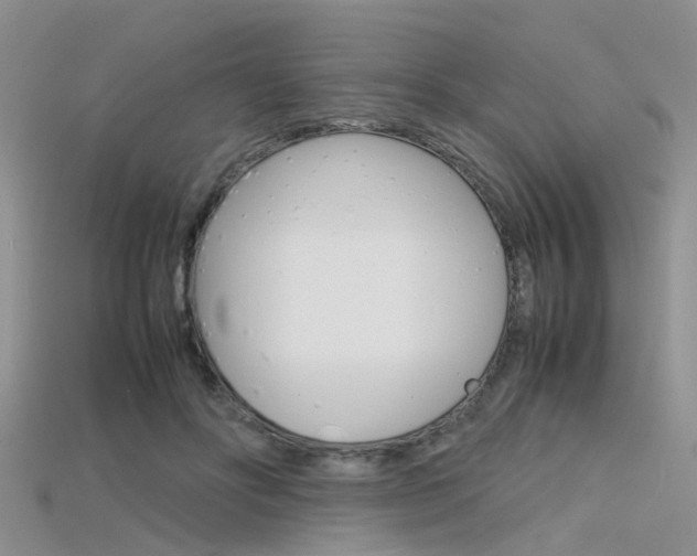 X0000115740502200911121105