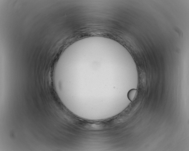 X0000115740506200911121105