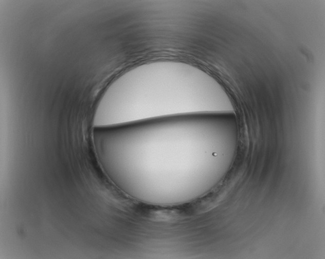X0000115740508200911121105