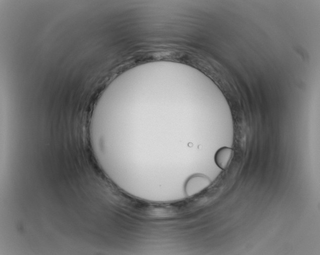 X0000115740510200911121105