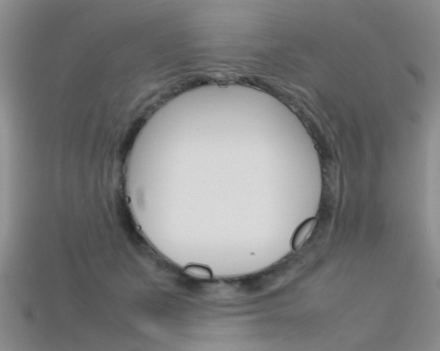 X0000115740511200911121105