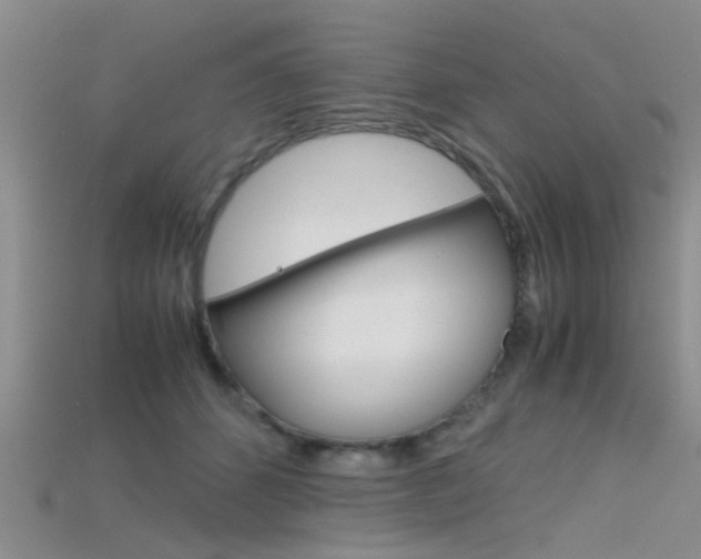 X0000115740512200911121105