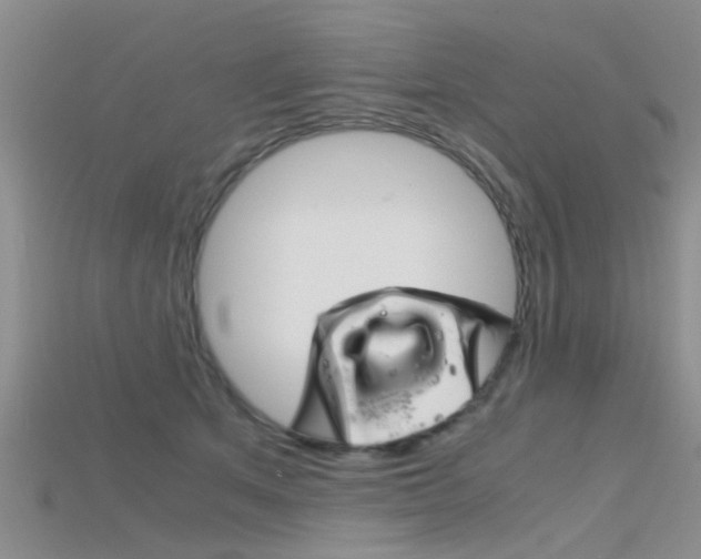 X0000115740513200911121105