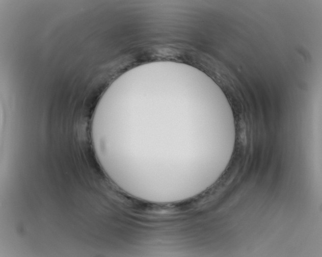 X0000115740514200911121105