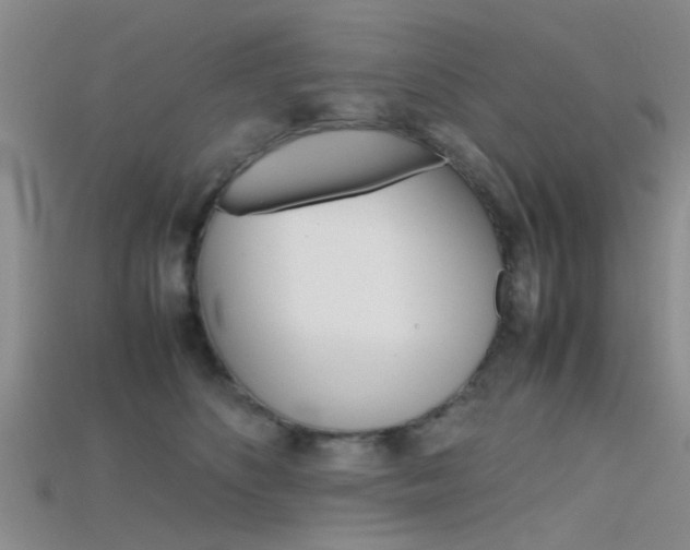X0000115740516200911121105