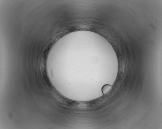 X0000115740518200911121105