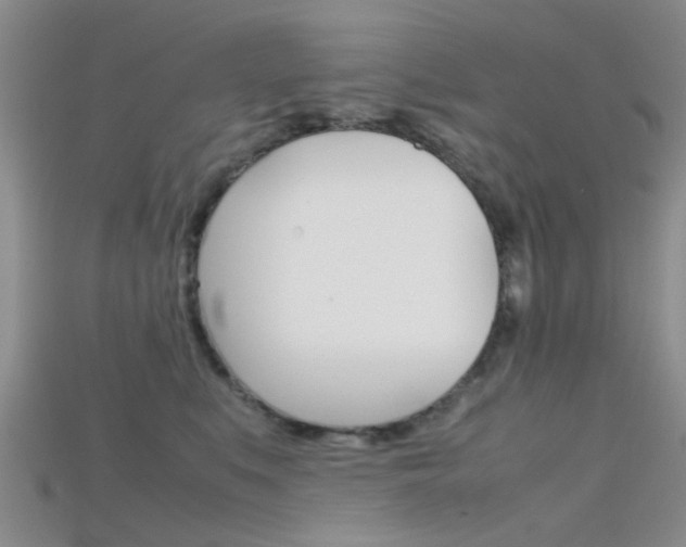 X0000115740519200911121105