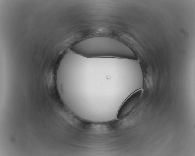 X0000115740520200911121105