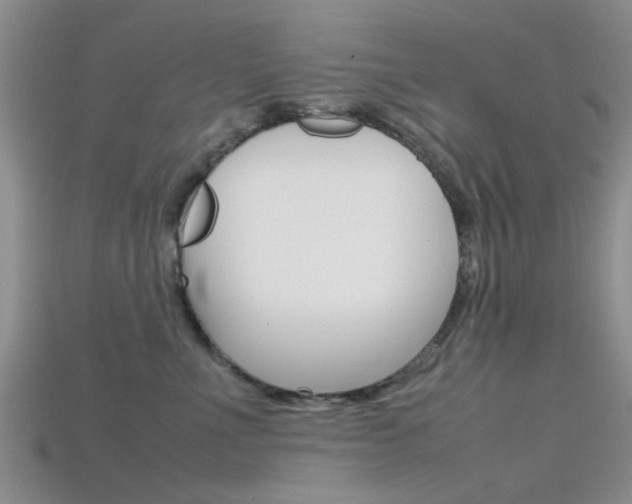 X0000115740523200911121105
