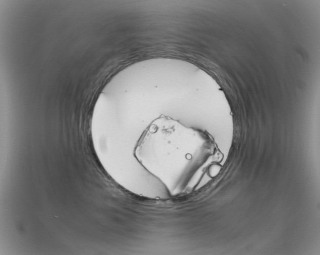 X0000115740525200911121105