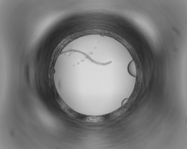 X0000115740526200911121105