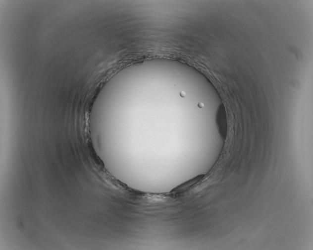 X0000115740528200911121105