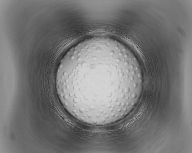 X0000115740529200911121104