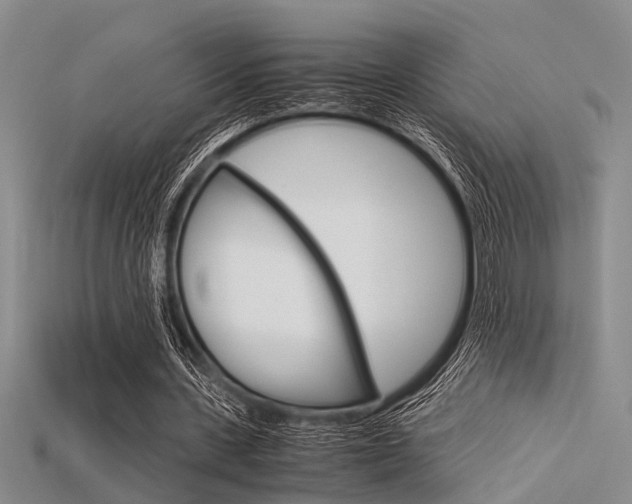 X0000115740531200911121104