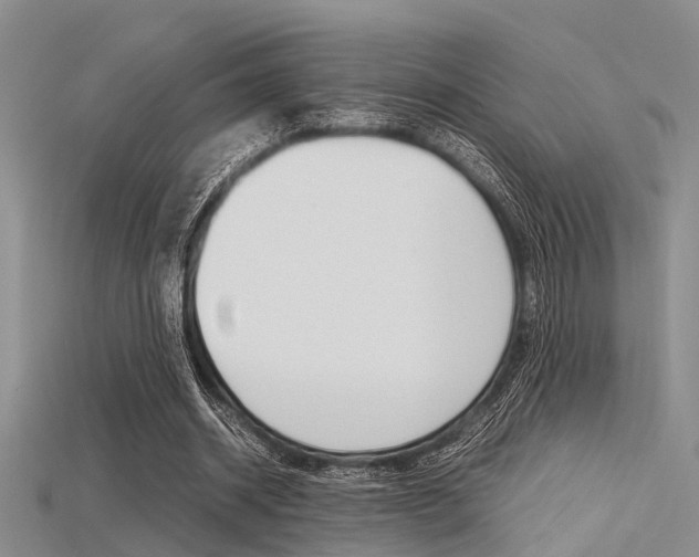 X0000115740534200911121104