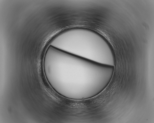 X0000115740535200911121104