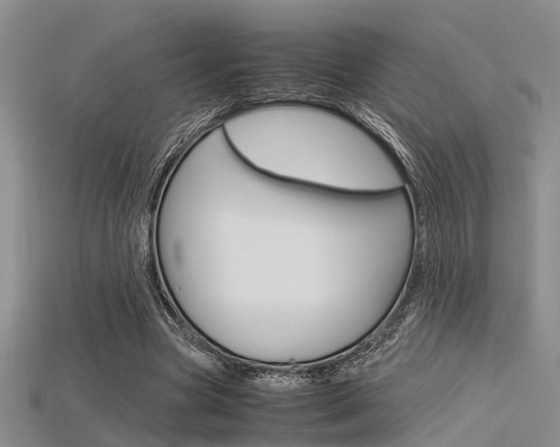 X0000115740537200911121104