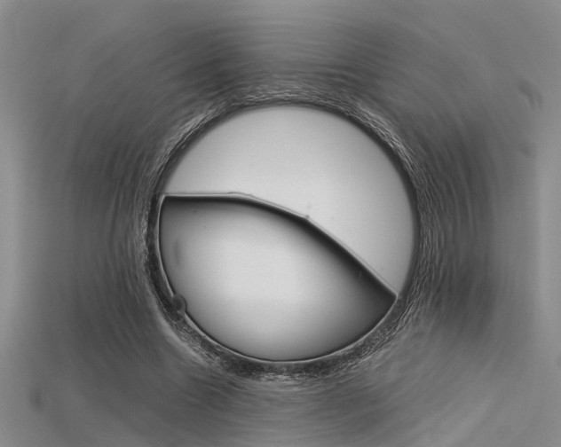 X0000115740538200911121104
