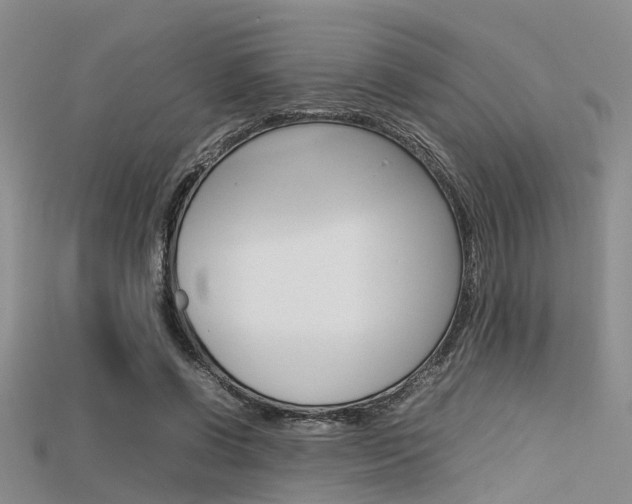 X0000115740542200911121104