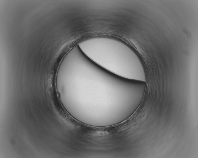X0000115740543200911121104
