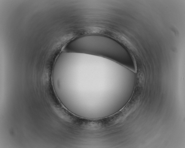 X0000115740546200911121104