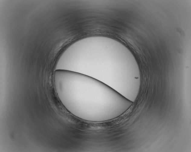 X0000115740547200911121104