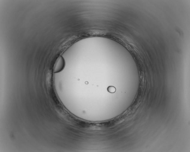 X0000115740550200911121104