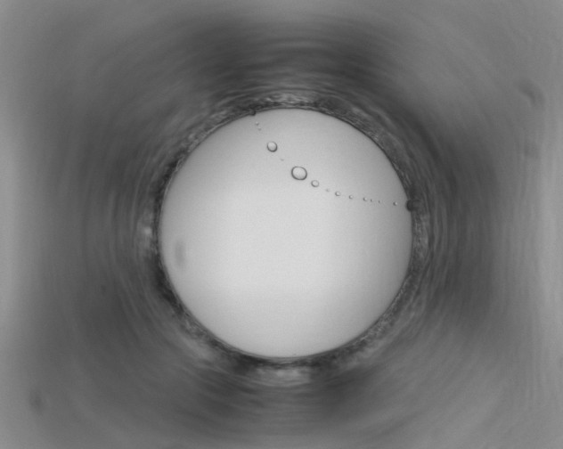 X0000115740553200911121104