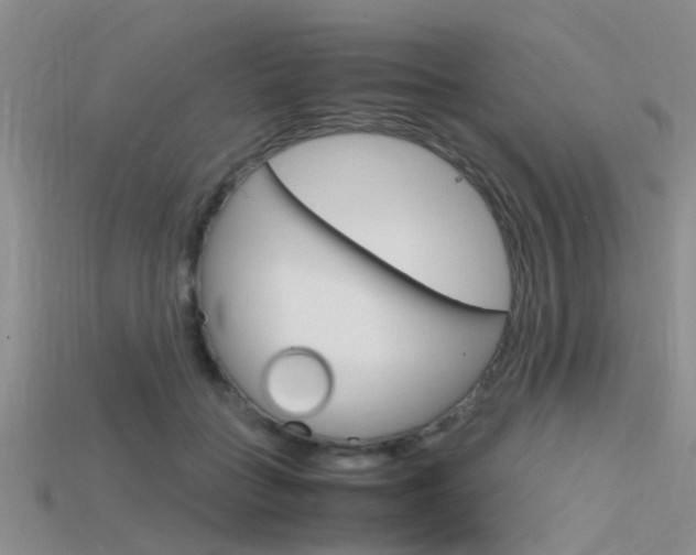 X0000115740555200911121104