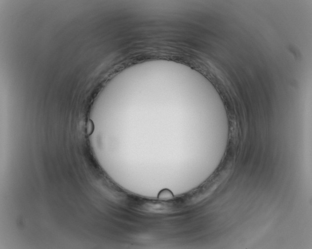 X0000115740557200911121104
